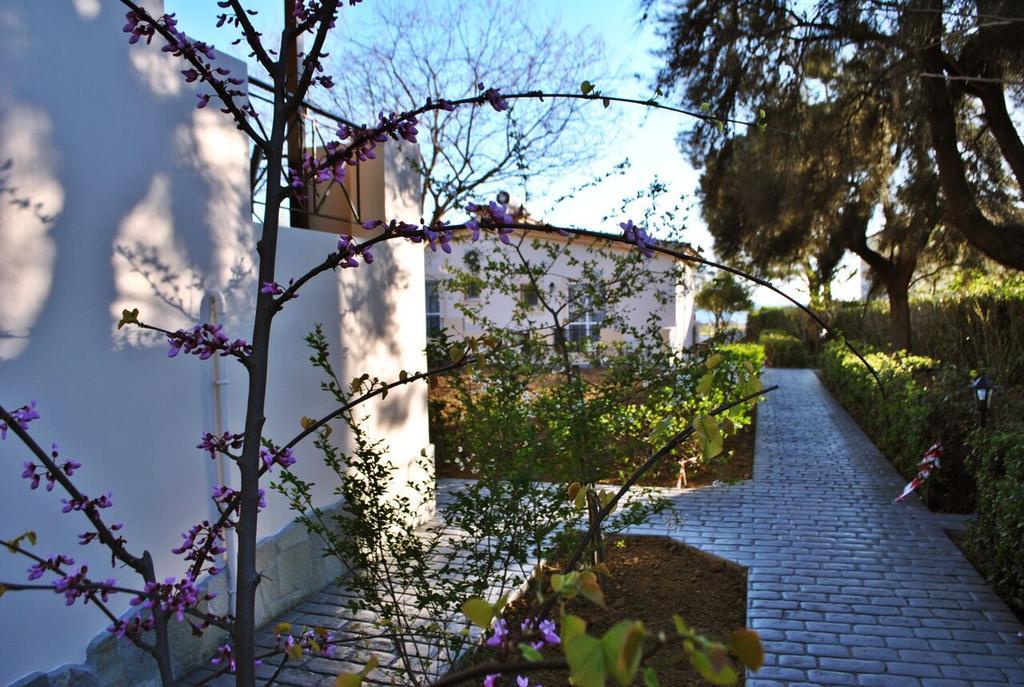 Alkiones Apartment Plati  Exterior foto